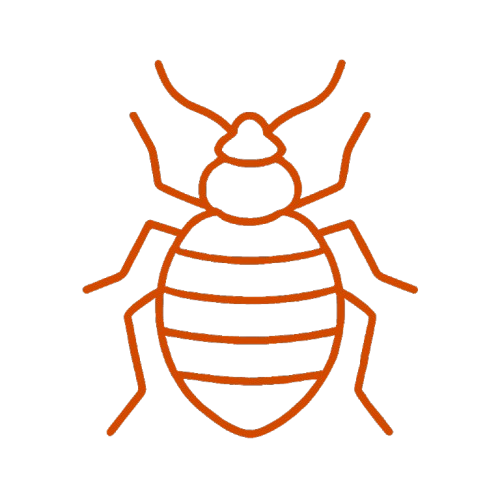 Bed Bug Control