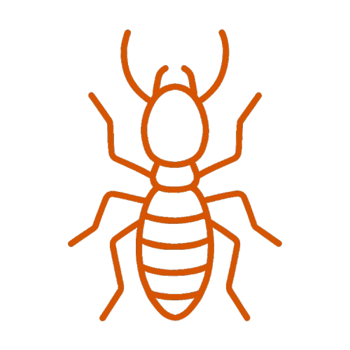 Termite Control
